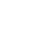 Ritz Carltoon
