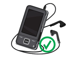 permitted item graphic